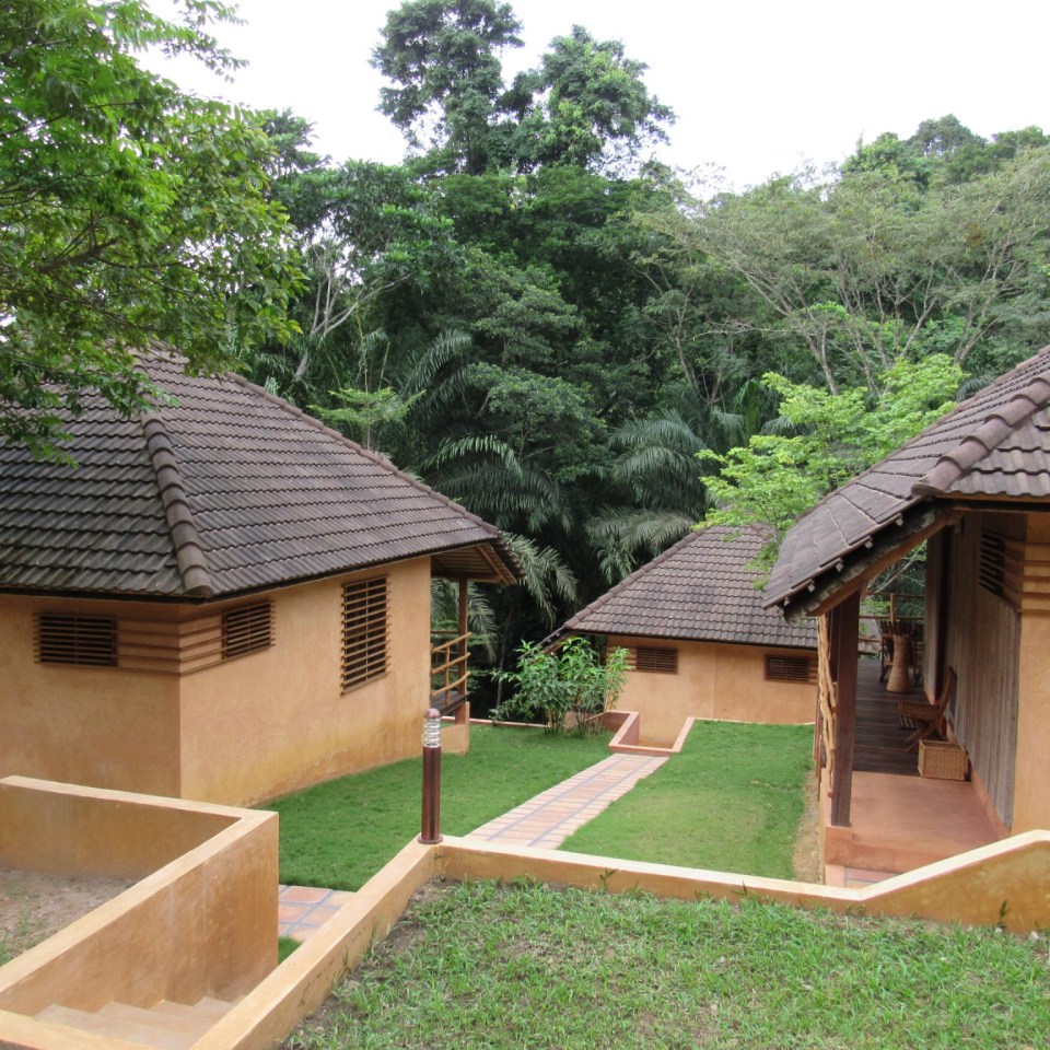 Ankasa Reserve Lodge